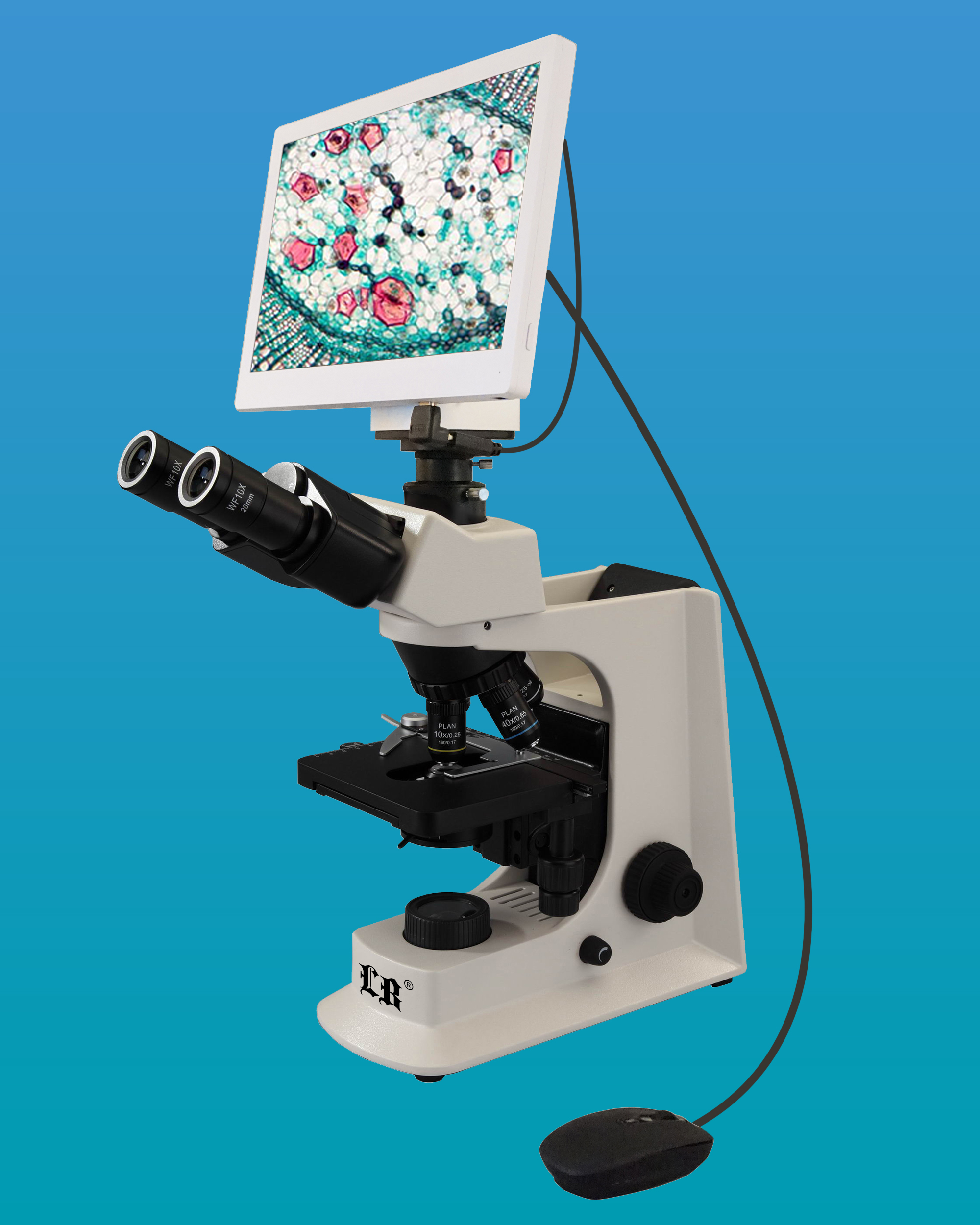 Microscope de laboratoire - LB-200 - Labomed INC - binoculaire / à